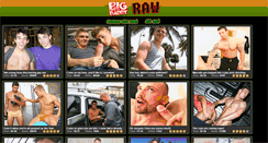 Desktop Screenshot of bigdaddyraw.com